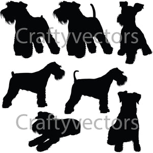 Miniature Schnauzer Dogs Vector