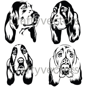 Basset Hound Dog Vector