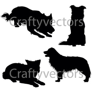 Border Collie Dog Silhouettes Vector