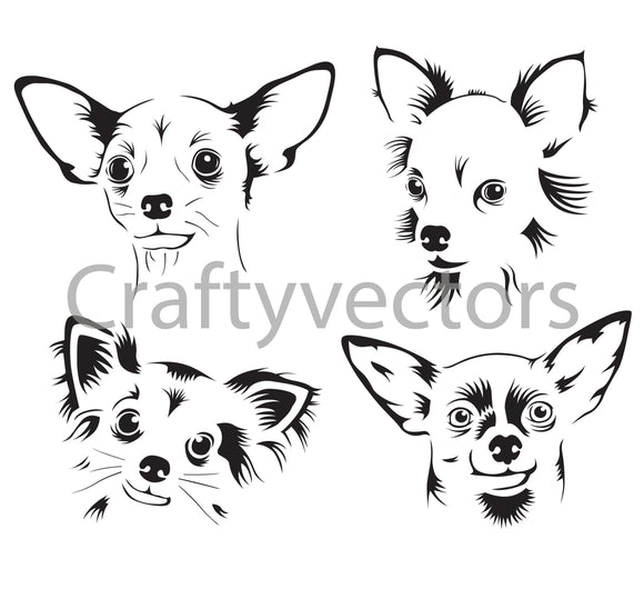 Chihuahua Dog Vector