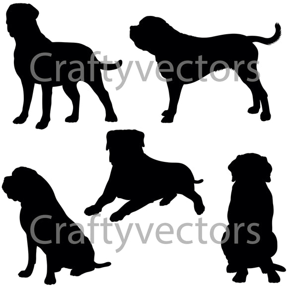 English Mastiff Dogs Vector