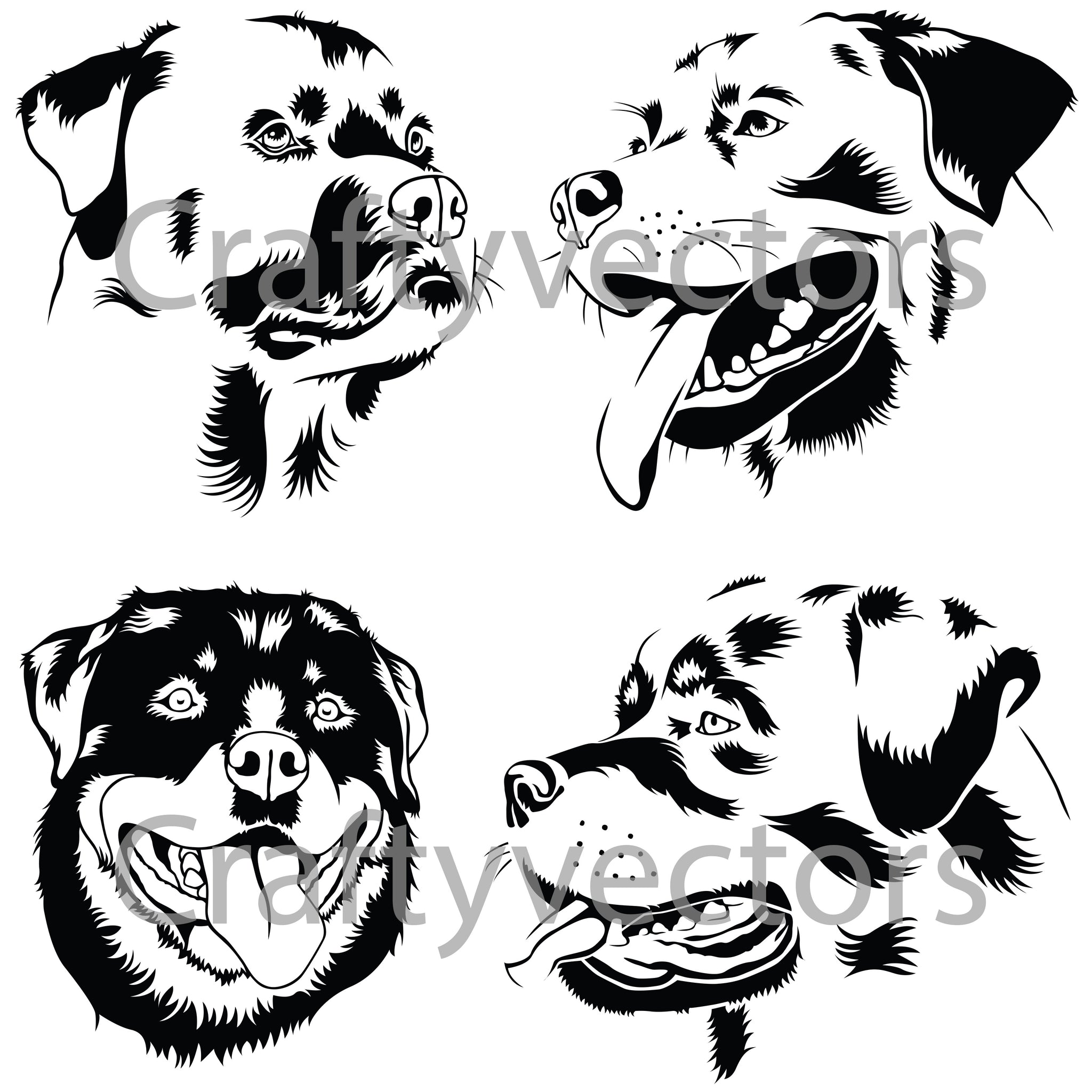 Rottweiler Dog Vector – Crafty Vectors