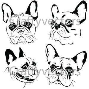 French Bulldog Vector